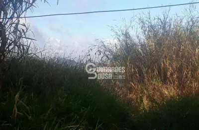 Chácara à venda, 5224 m² por r$ 595.000,00 - arataba ii - louveira/sp
