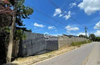 Terreno rural para locação, chácaras rutina strauss, franco da rocha - te1255.