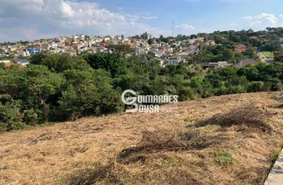 Terreno à venda, 600 m² por r$ 450.000 - bairro do bosque - vinhedo/sp