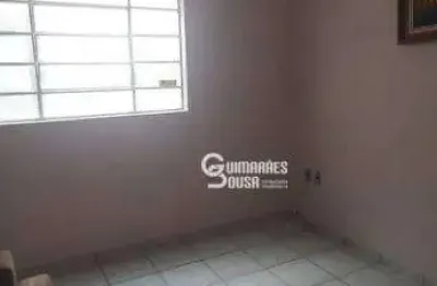 Edícula para alugar, 45 m² por r$ 2.000,00/mês - vila nova louveira - louveira/sp