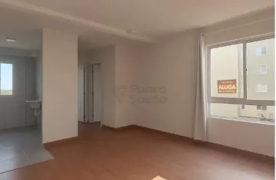 Apartamento no condomínio torre bella - 2 dormitórios no fragata, próximo à av. duque de caxias