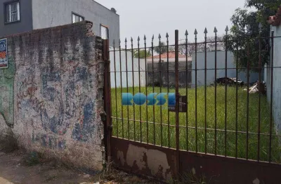 Terreno à venda, 310 m² por r$ 1.100.000,00 - jardim avelino - são paulo/sp