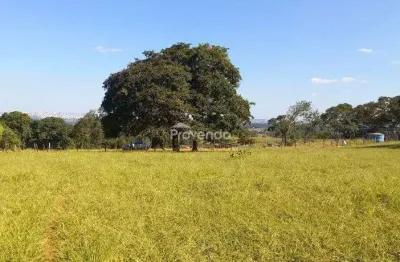 Área com 58.000m² localizada na rodovia go 080, km 11,5, goiânia-go