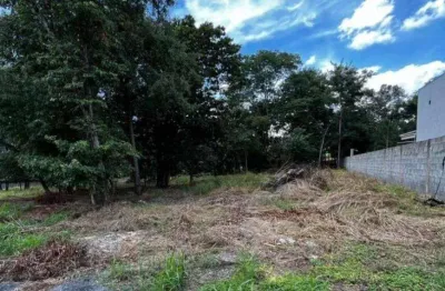Terreno à venda na Rua das Paineiras, Residencial Villa Verde, Senador Canedo