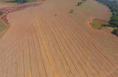 Fazenda  venda patos de minas/mg dupla aptidão, agricultura e pecuária
