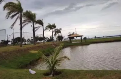 Fazenda à venda no Centro, Panorama 