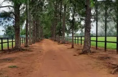 Fazenda à venda no Centro, Porto Feliz 