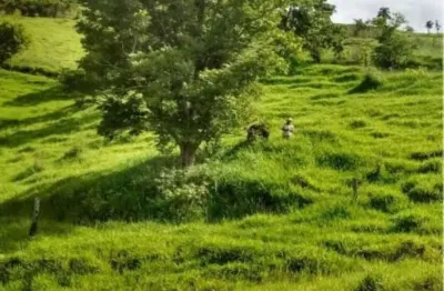 Fazenda à venda no Centro, Echaporã 