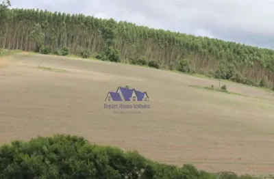 Fazenda à venda na Vila Aparecida, Capão Bonito 