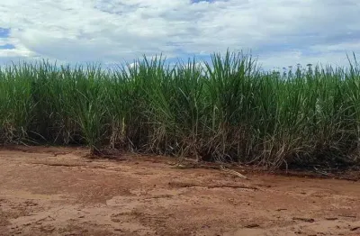 Fazenda à venda no Centro, Reginópolis 