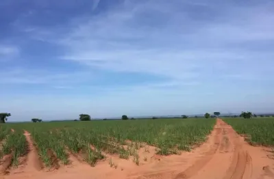 Fazenda à venda no Centro, Panorama 