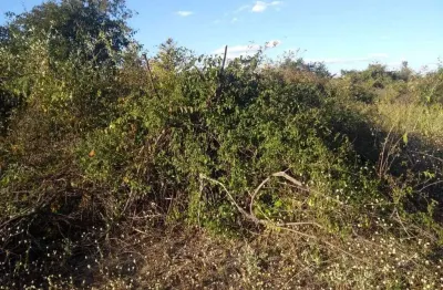 Fazenda à venda no Veredas, Janaúba 