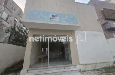 Casa comercial com 1 sala à venda na Avenida Princesa Isabel, 517, Barra, Salvador