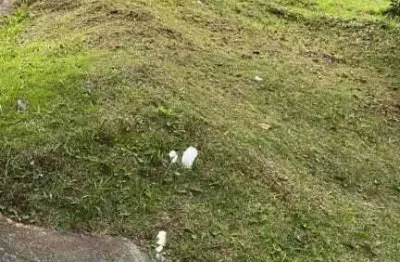 Terreno à venda no Real Park, Mogi das Cruzes 