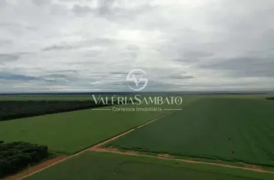 Fazenda à venda no Centro, Vera 