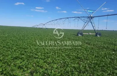 Fazenda à venda na Área Rural, Área Rural de Cacoal, Cacoal