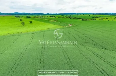 Fazenda à venda na Avenida Celestino Rosalino, Vista Alegre, Cacoal