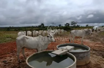 Fazenda à venda na Rua Afonso Pena, Centro (S-01), Vilhena