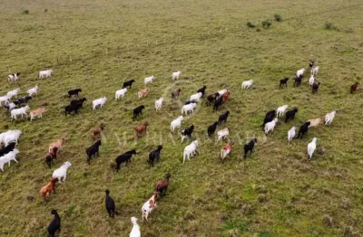 Fazenda à venda na Área Rural de Vilhena, Vilhena 