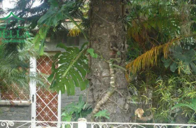 Terreno residencial à venda, vila pirituba, são paulo.