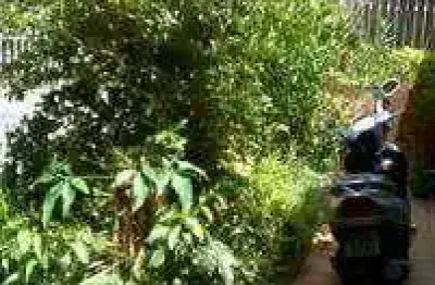 Casa com 3 quartos à venda na rua barra do garça, chácara são joão, são paulo por r$ 800.000