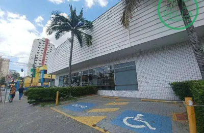 Galpão para alugar, 1196 m² por r$ 79.724,38/mês - tucuruvi - são paulo/sp