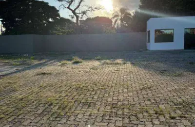 Terreno para alugar, 700 m² por r$ 28.000,00/mês - vila jaguara - são paulo/sp