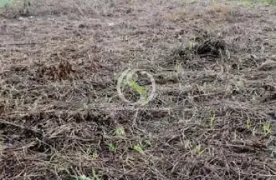 Condomínio residencial parque lusitano - terreno à venda no bairro tarumã açu - manaus/am