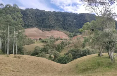 Chácara / sítio à venda na zona rural, vidal ramos , 120680 m2 por r$ 750.000