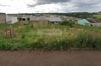 Terreno à venda no Floresta, Cascavel 