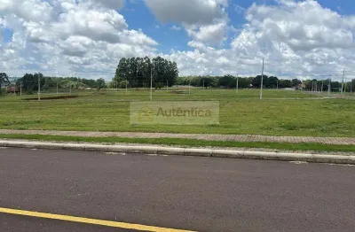 Terreno à venda na Rua Isa Mulinari De Moraes, 298, Universitário, Cascavel