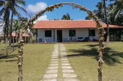[última chance]casa padrão 4 quartos para venda -  busca vida (abrantes)