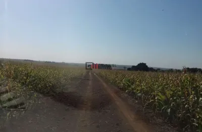 Terreno à venda, 72.000 m² por r$ 3.180.000 - zona rural - warta - londrina/pr