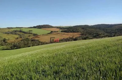 Sítio de 12,79 alqueires à venda - r$. 3.800.000,00,  na zona sul de londrina, aproximadamente 20 k