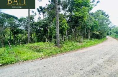 Terreno à venda em Campo Alegre-SC, bairro Pirizal Bateias de Baixo com 19.991,66 m² de área!