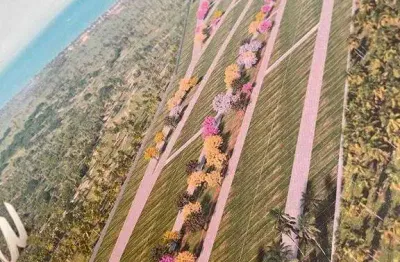 Terreno à venda na Rodovia Se-100, 8849, Capuã, Barra dos Coqueiros