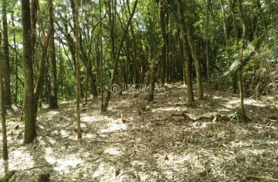 Terreno condomínio rural para venda em rancho queimado, centro