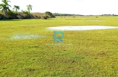 Fazenda com 270 hectares em tavares-rs, com aptidão para pecuária
