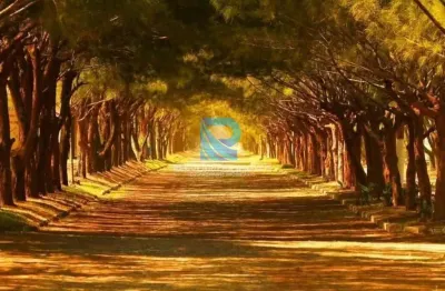 Terreno à venda na Lagoa Cortada, Balneário Gaivota 