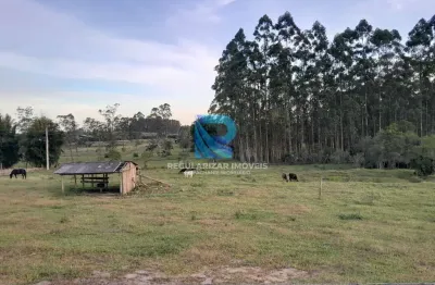 Chácara / sítio à venda no Centro, São João do Sul 