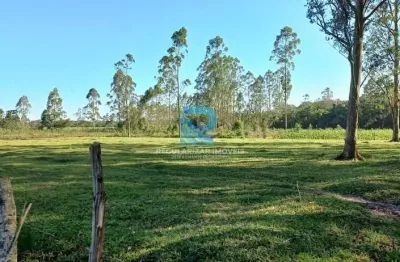 Sítio de 2 hectares, área plana apta para plantio e ótima localização.