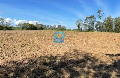 Chácara / sítio à venda na Zona Rural, Santa Rosa do Sul 