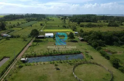 Chácara / sítio com 2 quartos à venda na Estrada Geral Três Coqueiros, Vila Conceição, São João do Sul