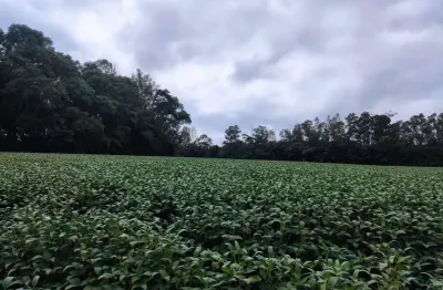 Chácara / sítio à venda na Rua Bernardo Guimarães, Colônia Dona LuÍza, Ponta Grossa