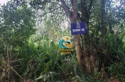 Terreno à venda na Avenida Sidnei de Oliveira Andrade, Massaguaçu, Caraguatatuba
