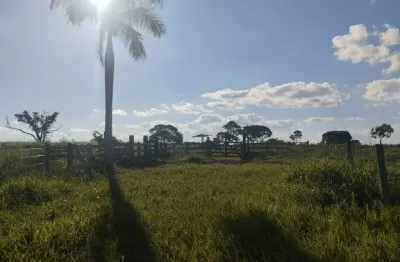 Fazenda à venda na Praça da Estacão, Zona Rural, Bocaiúva