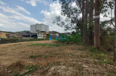 Terreno comercial para alugar na Avenida Darcy Vargas, Ipiranga, Juiz de Fora