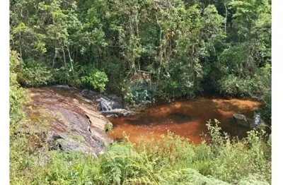 Chácara / sítio à venda na Rua José Antônio De Almeida, Centro, Rio Preto