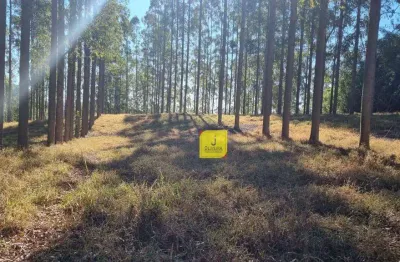 Excelente sítio, com aproximadamente 25.000m², dentro do condomínio triquedas, à 5 kms antes de coronel pacheco.