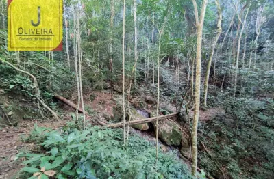 Sítio de 6,3ha com chalé e 2 açudes à 12km de igrejinha - (no maracujá-br 267).